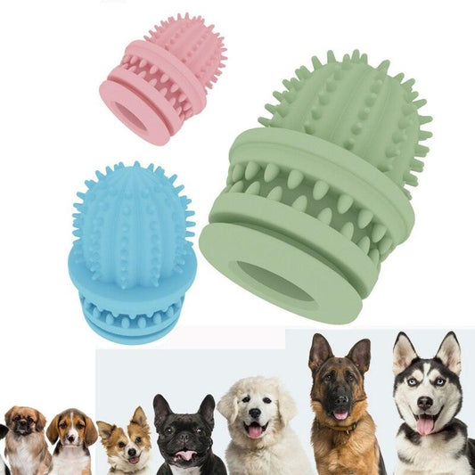 Bite Resistant Toys Pets - Golden Buy